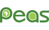 Logo Peas Promoting Equality in African Schools